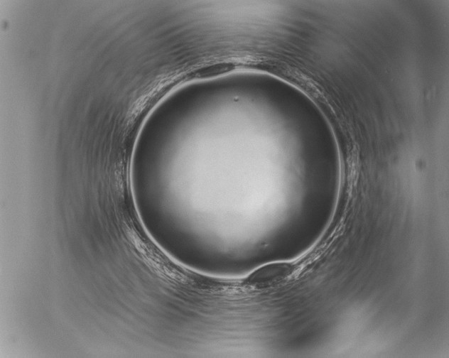 X0000057090345200509091319