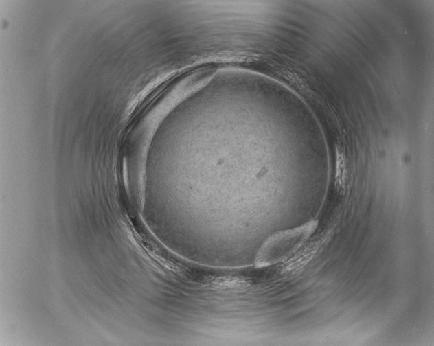 X0000057090348200509091319