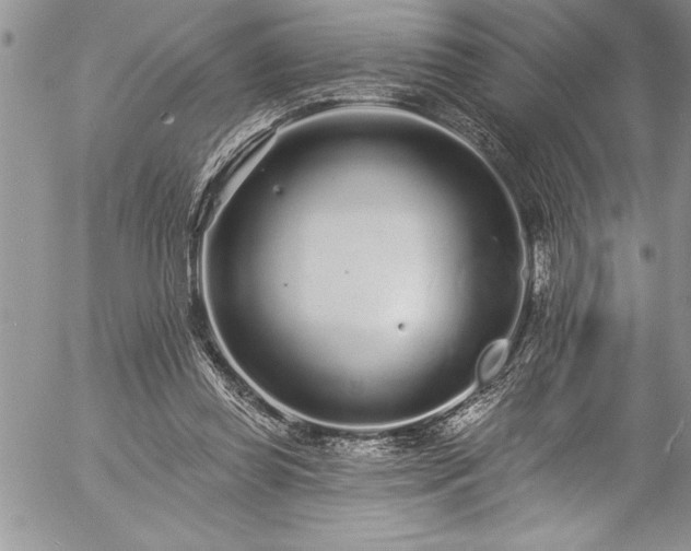 X0000057090349200509091319