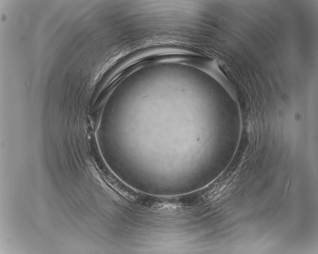 X0000057090352200509091319