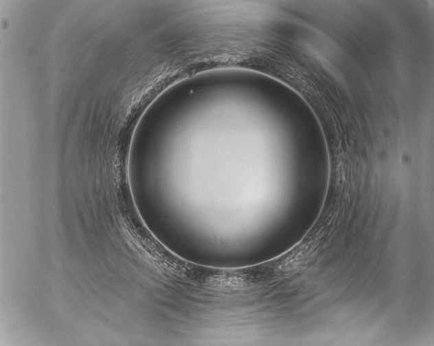 X0000057090354200509091319