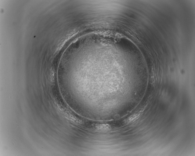 X0000057090355200509091319