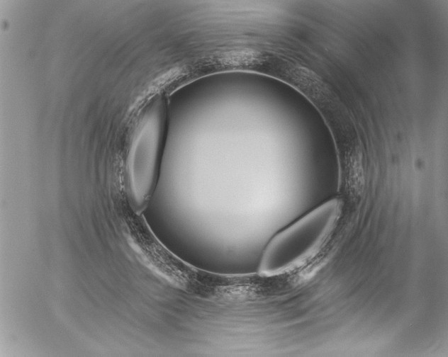 X0000057090356200509091319