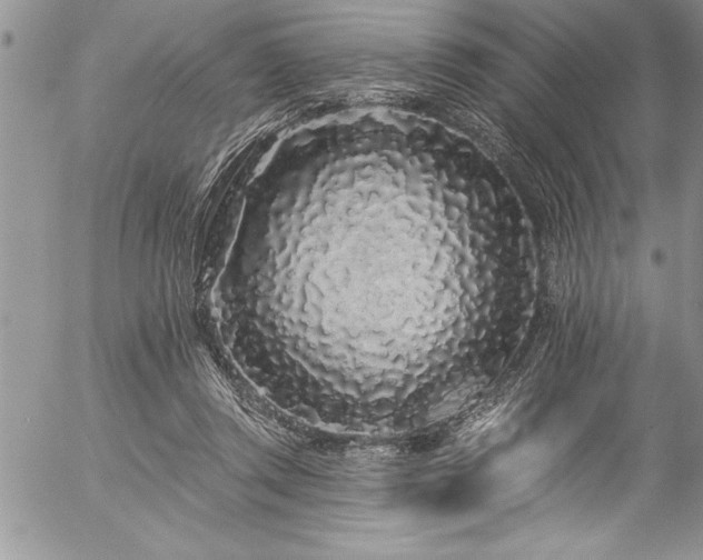 X0000057090357200509091319