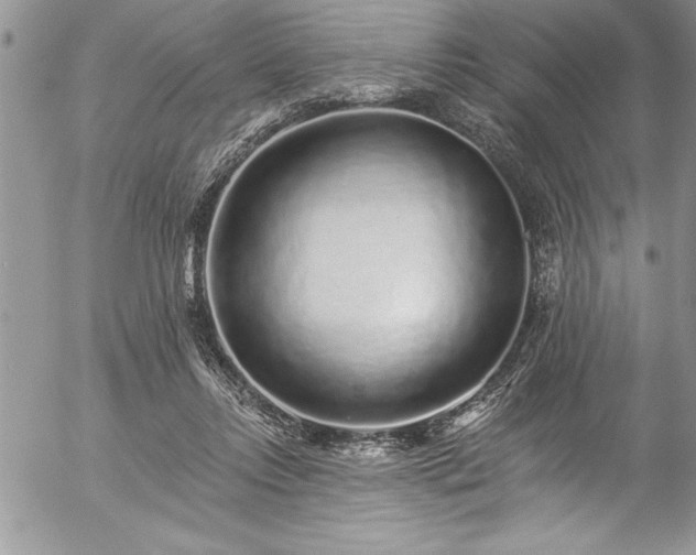 X0000057090358200509091319