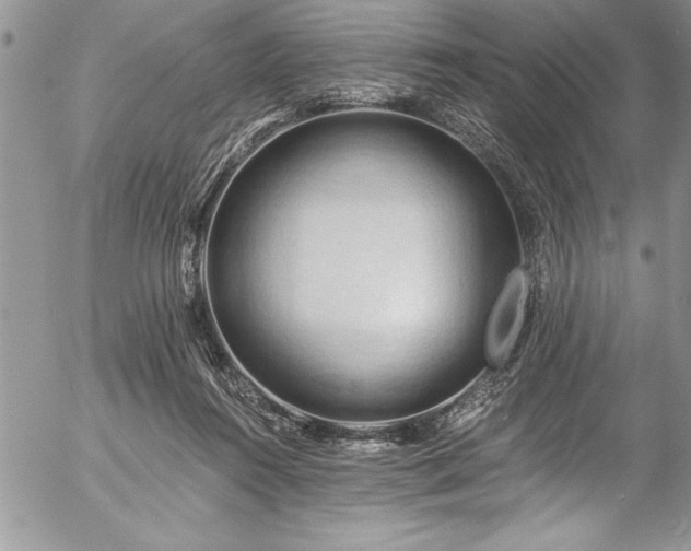 X0000057090360200509091319