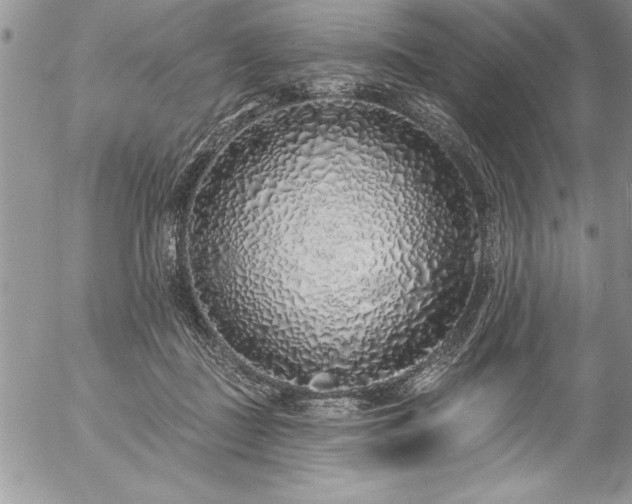 X0000057090363200509091319