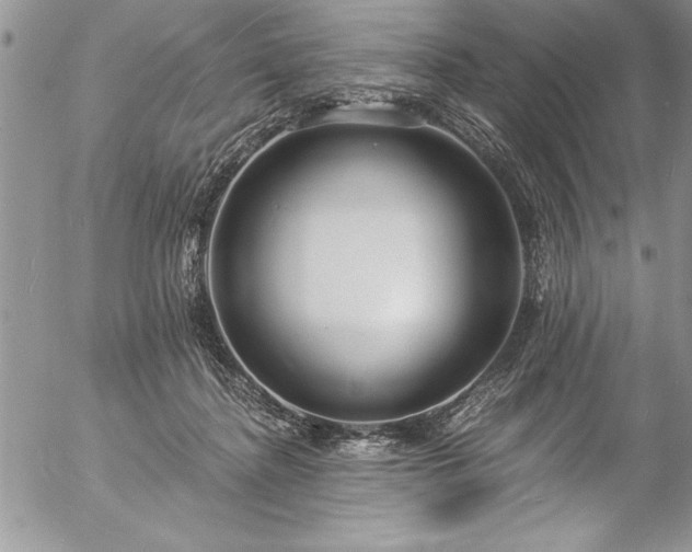 X0000057090364200509091319