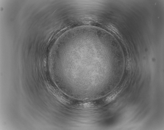 X0000057090365200509091319