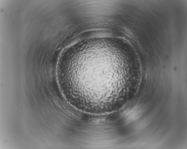 X0000057090366200509091319