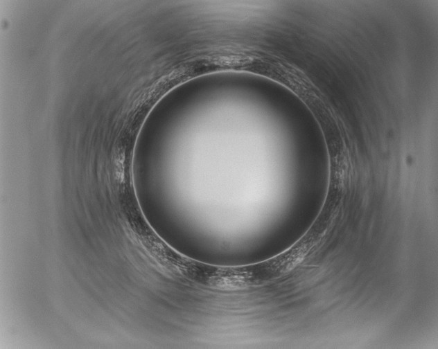 X0000057090368200509091320