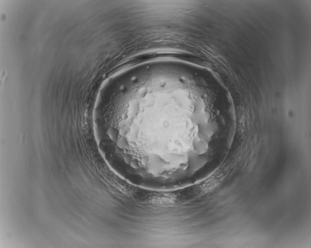 X0000057090369200509091320