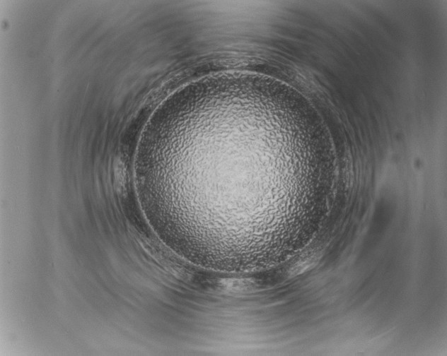 X0000057090371200509091320