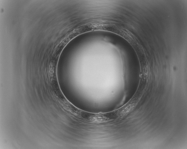 X0000057090372200509091320