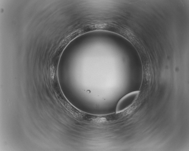 X0000057090374200509091320