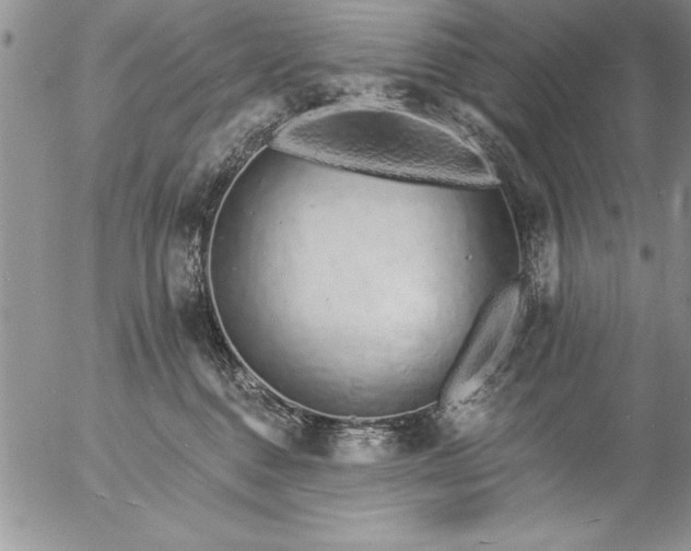 X0000057090376200509091320