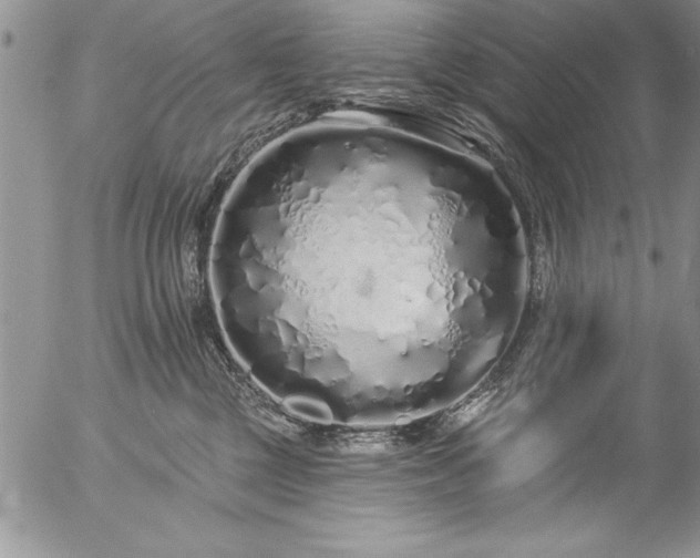 X0000057090377200509091320