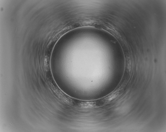 X0000057090378200509091320