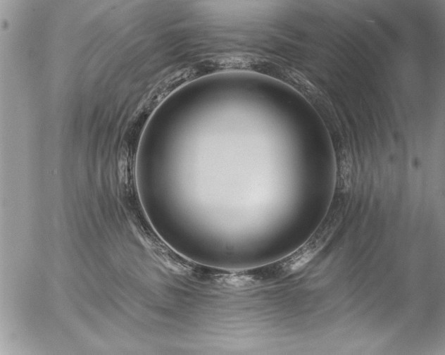 X0000057090379200509091320