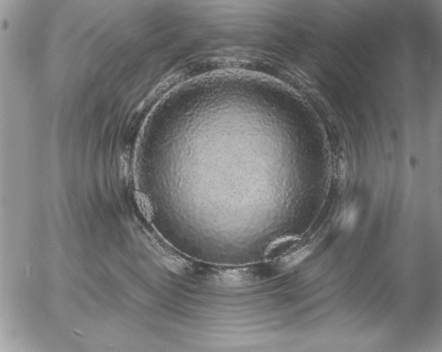 X0000057090382200509091320