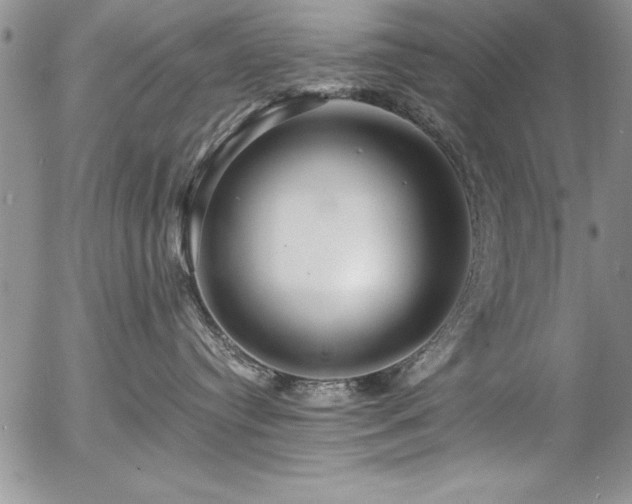 X0000057090384200509091320