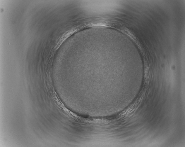 X0000057090385200509091319