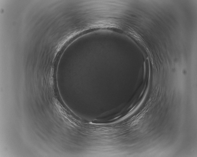 X0000057090387200509091319