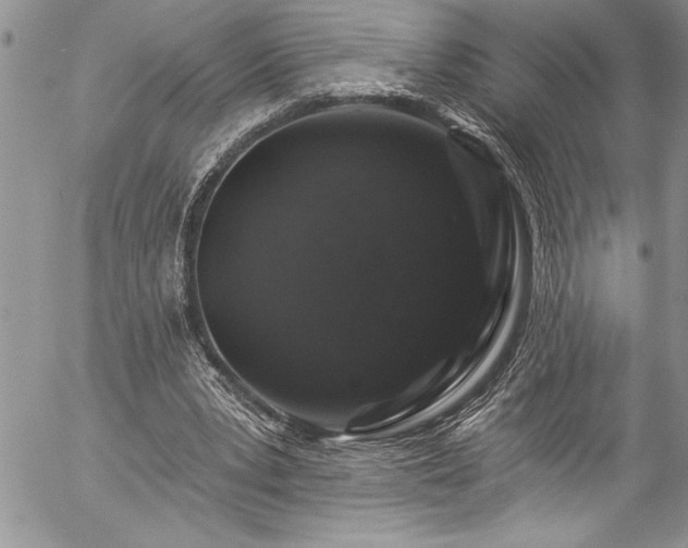 X0000057090391200509091319