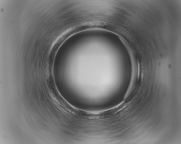 X0000057090392200509091319