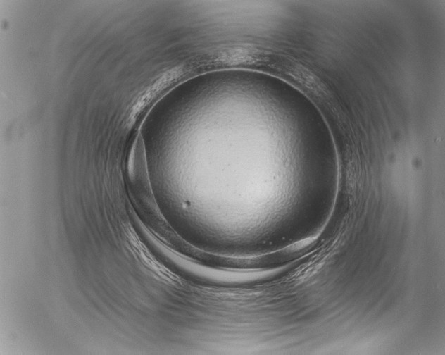 X0000057090393200509091319