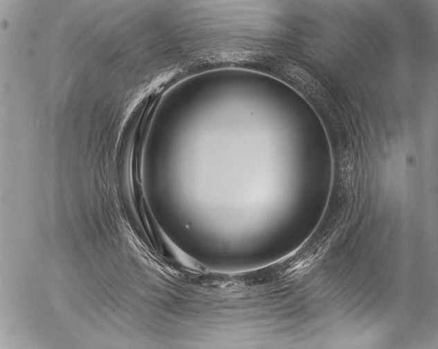 X0000057090395200509091319