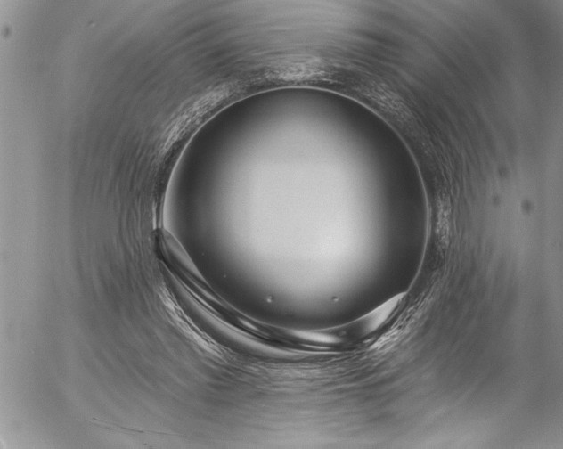 X0000057090397200509091319