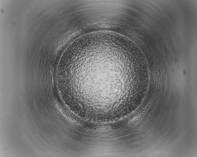 X0000057090398200509091319