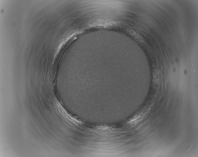 X0000057090399200509091319