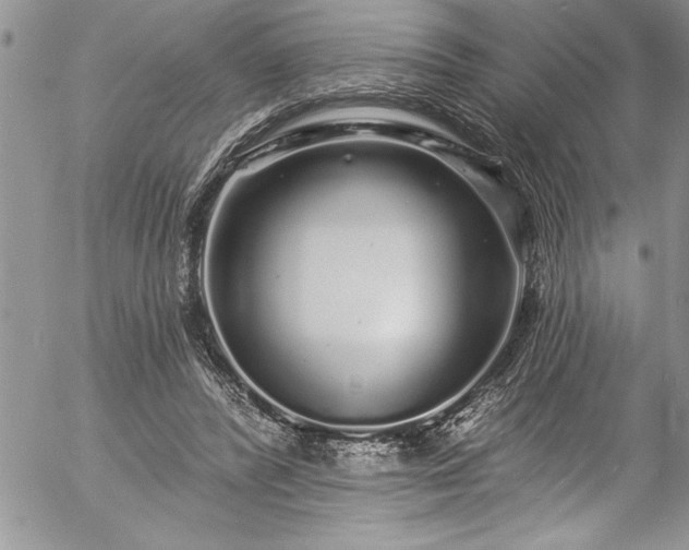 X0000057090400200509091319