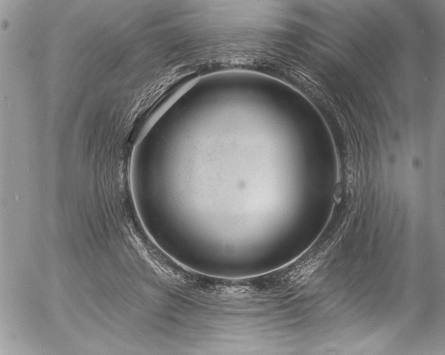 X0000057090401200509091319