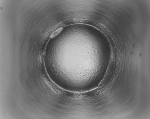 X0000057090405200509091319