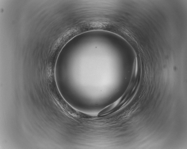 X0000057090407200509091319