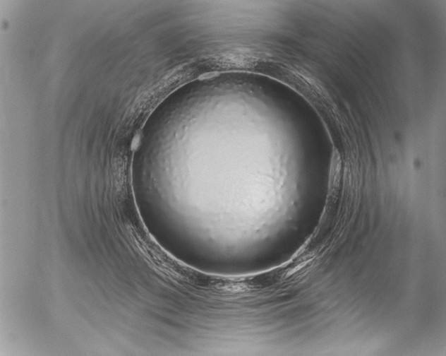 X0000057090409200509091318