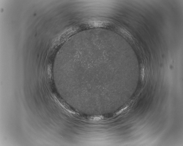 X0000057090410200509091318