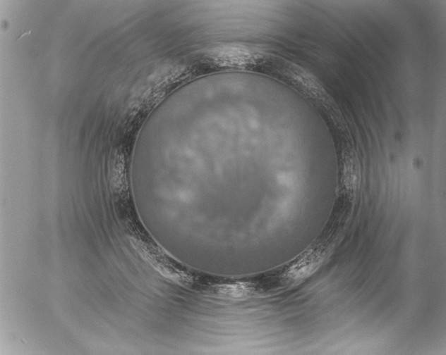 X0000057090411200509091318