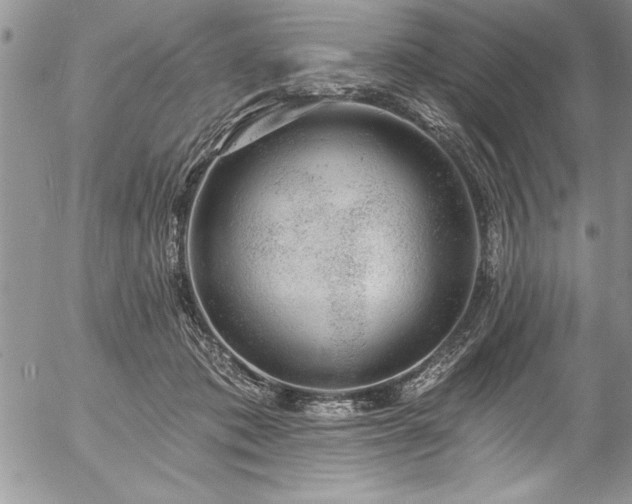 X0000057090413200509091318