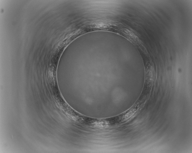 X0000057090415200509091318