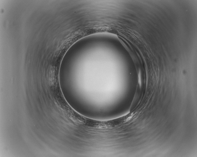 X0000057090416200509091318