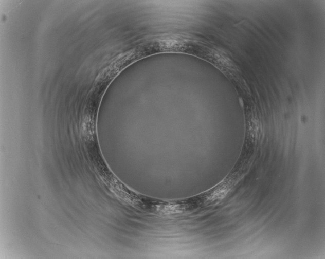 X0000057090419200509091318