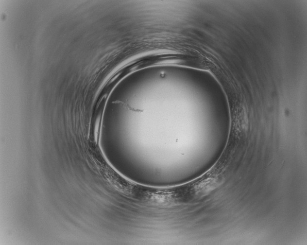 X0000057090420200509091318