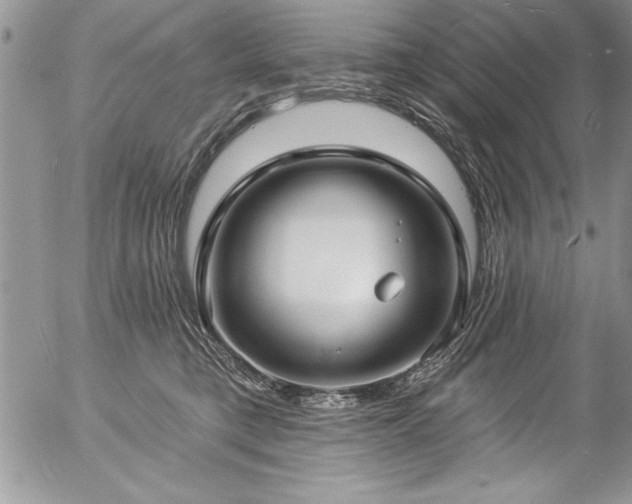 X0000057090421200509091318