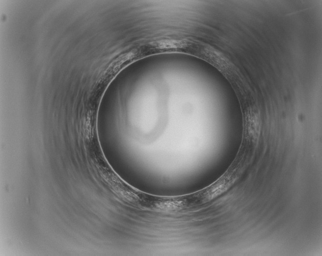 X0000057090422200509091318