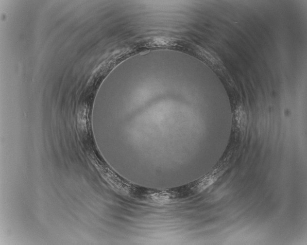 X0000057090423200509091318