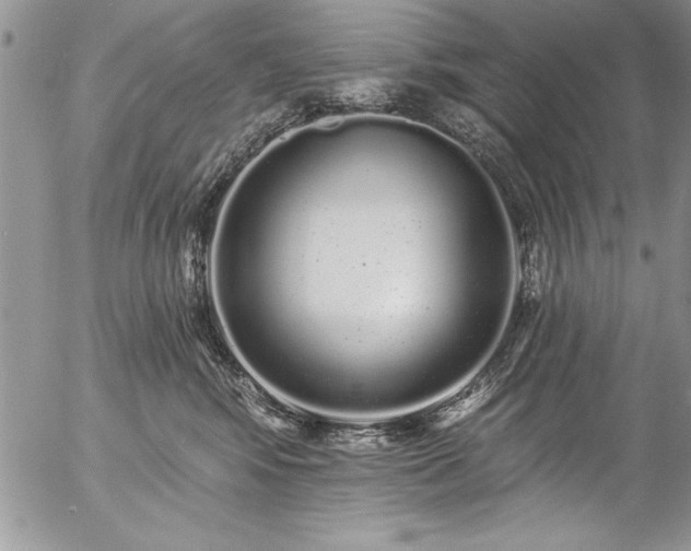 X0000057090424200509091318